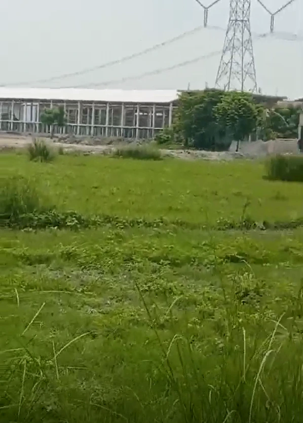 Pali, Bihar 801109, India
