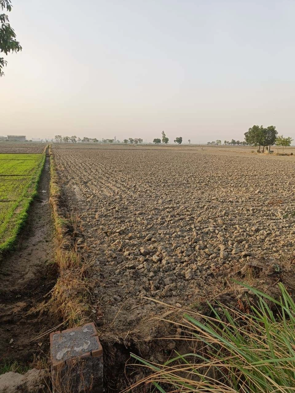 Tentigaon, Uttar Pradesh, India preview 3