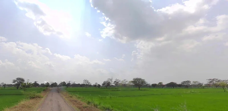 Sonpairi-2, Chhattisgarh 493661, India preview 3