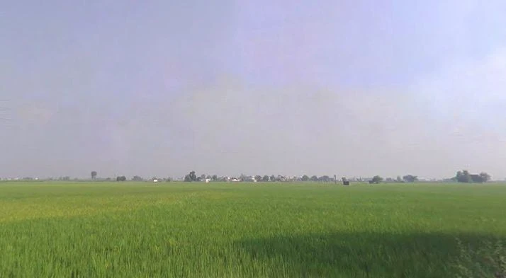 Babain, Haryana 136156, India