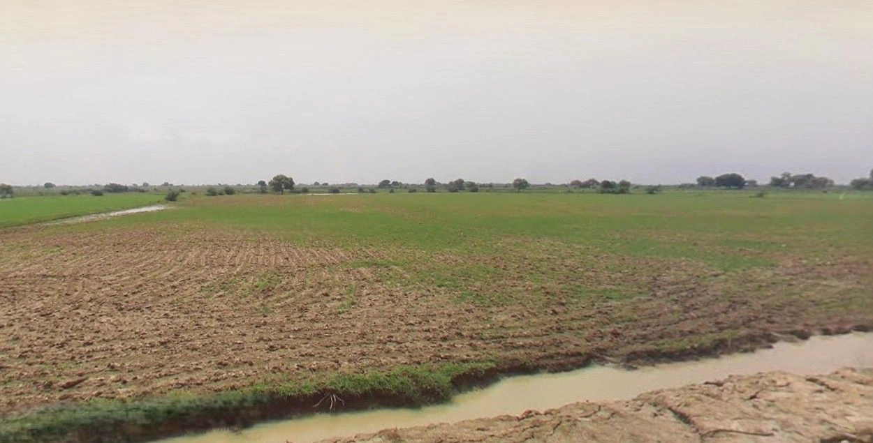 Majhola Pakarya, Pilibhit SH-29, Tanakpur Rd, Officer's Colony, Pilibhit, Uttar Pradesh 262001, India