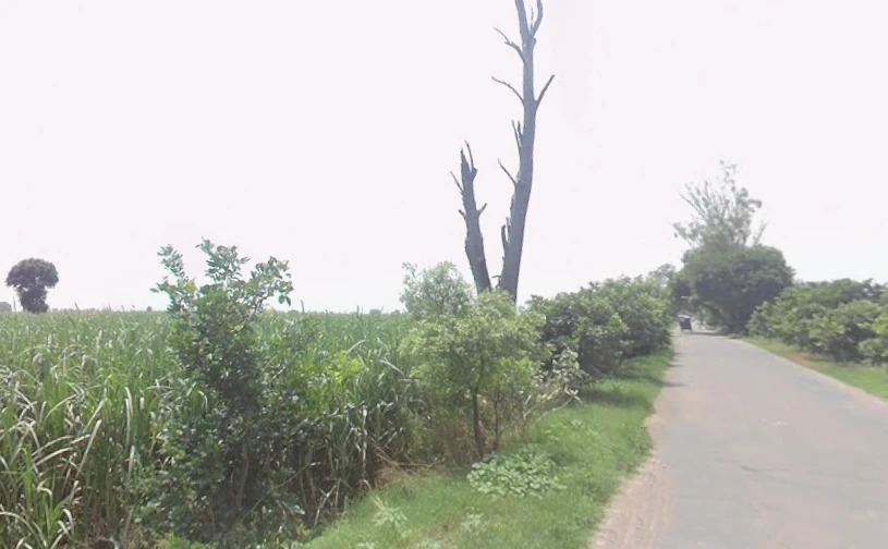 Baraut, Uttar Pradesh 250611, India