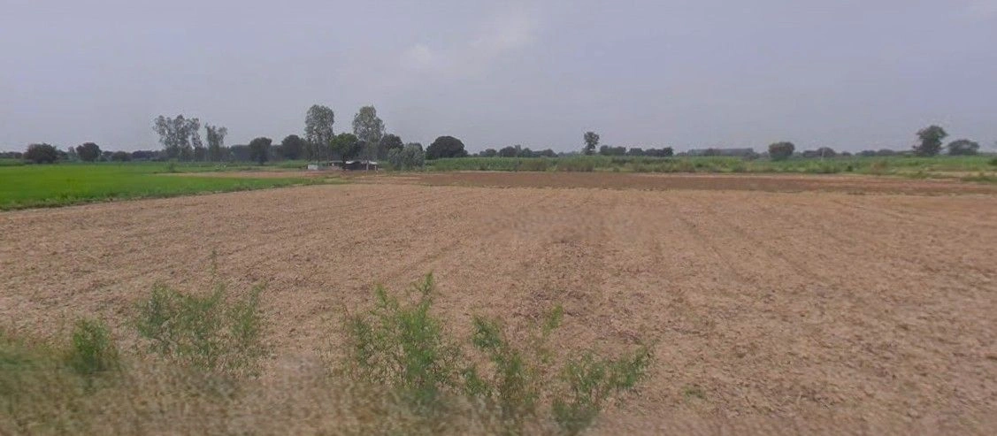 Barnagar, Madhya Pradesh 456771, India