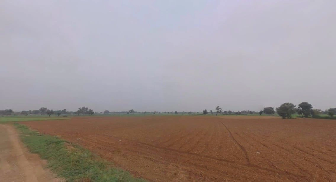 Peepal Khera, Rajasthan 321606, India