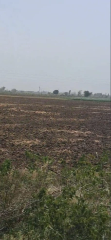 Chang, Haryana 127027, India