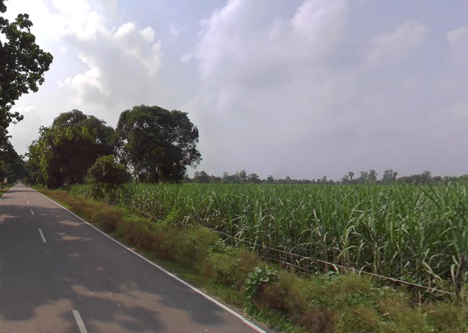 Powayan, Uttar Pradesh 242401, India