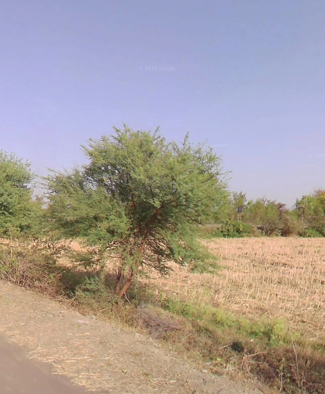 GG27+C4 Mali Khedi, Shajapur, Madhya Pradesh, India