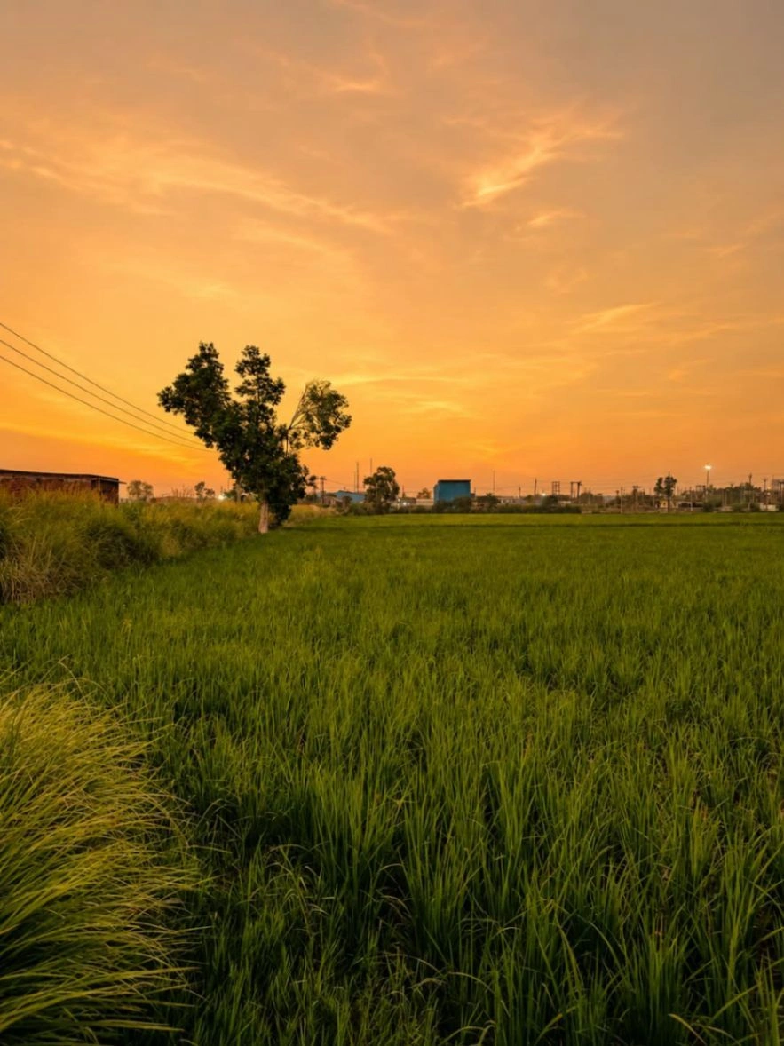Baraka, Mathura, Uttar Pradesh, India preview 2
