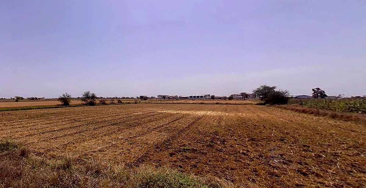 Moviya, Gujarat 360330, India