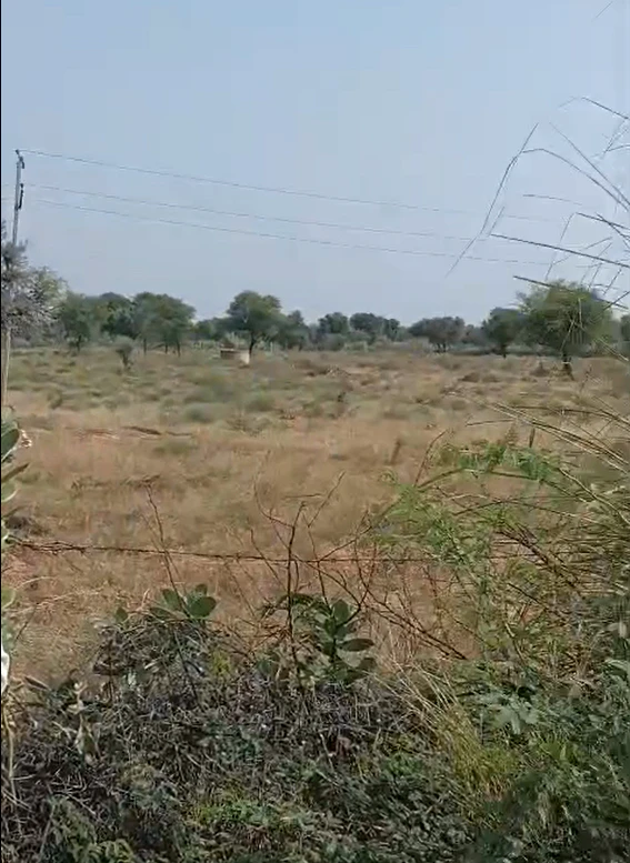 Q8RG+CF Keriya, Jaipur, Rajasthan, India