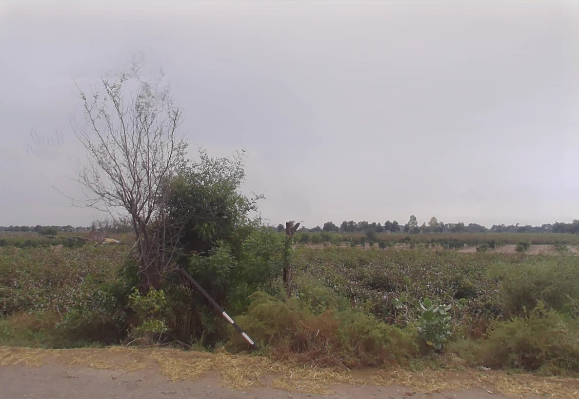 Chautala, Haryana 125101, India