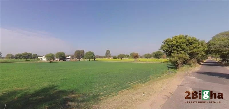 Moodiya, Rajasthan 321028, India