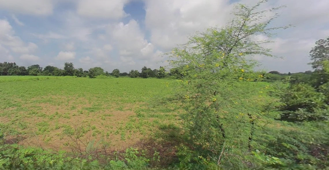 Bijnor, Uttar Pradesh 246701, India