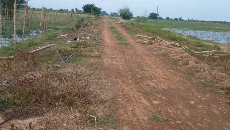 5F2J+3P Semara, Uttar Pradesh, India preview 3