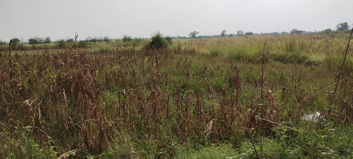 Nagla Faujdar, Rajasthan 321203, India