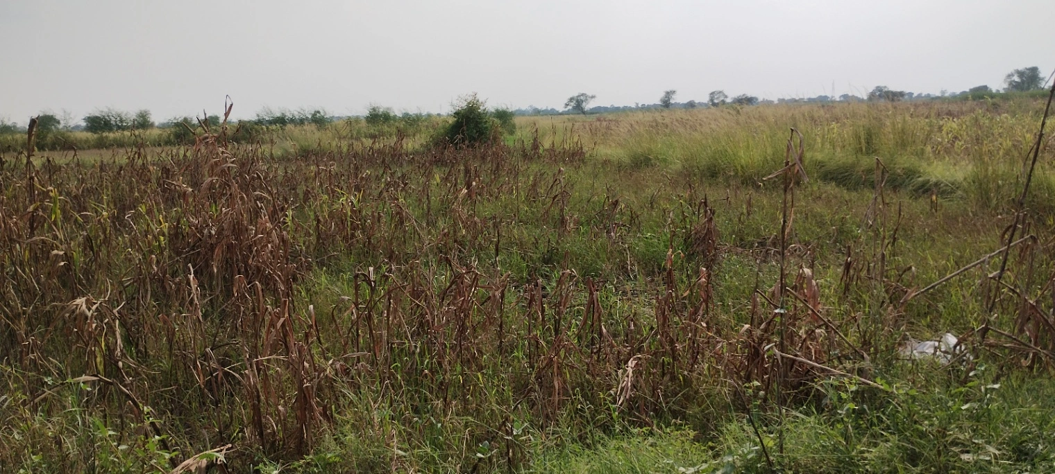 Nagla Faujdar, Rajasthan 321203, India