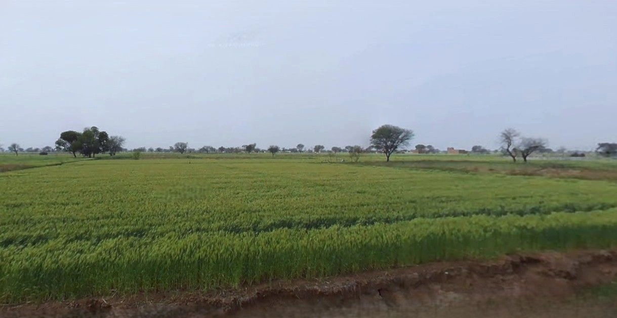 Farukh Nagar, Haryana 122506, India preview 2