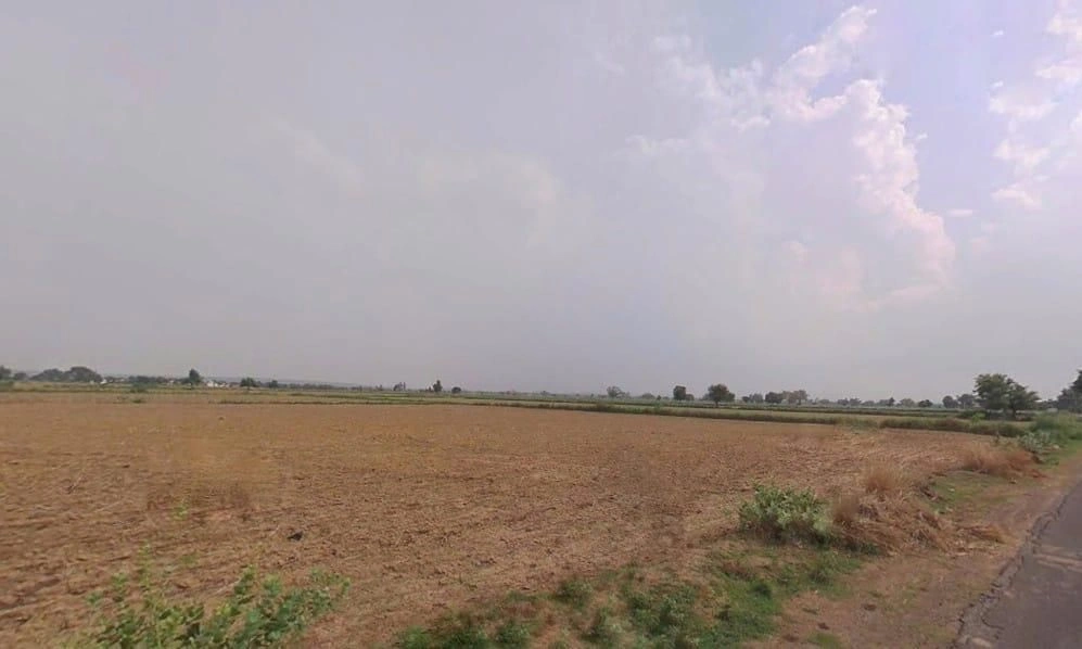 J64C+JPH, Bas Laddooka, Rajasthan 321022, India preview 3