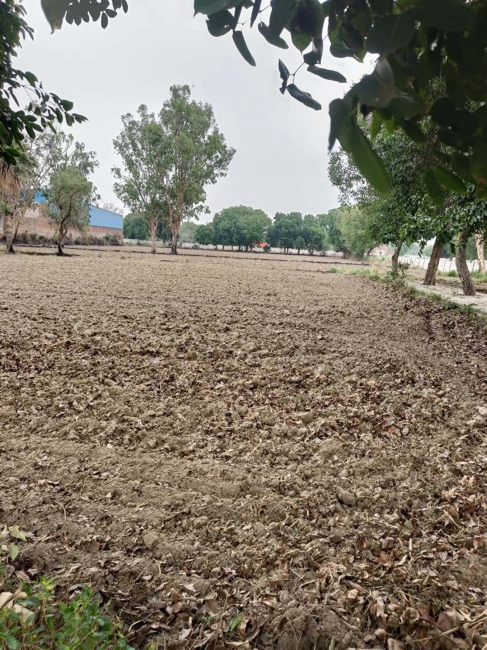 Chandauri, Uttar Pradesh, India