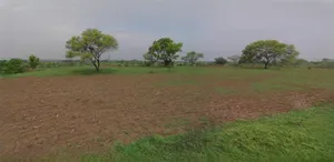 Sri Ganganagar, Rajasthan, India preview 2
