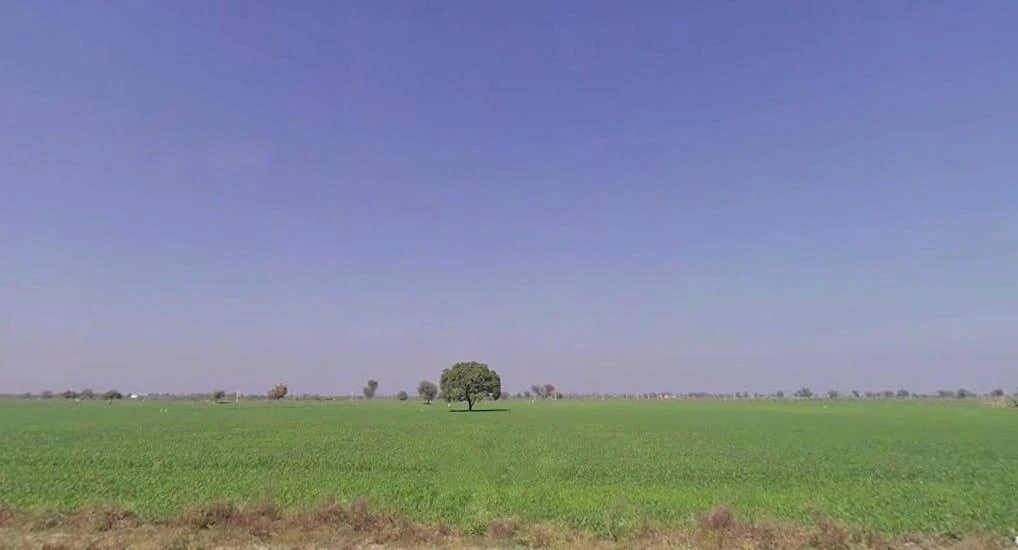 Bijolia, Rajasthan 311602, India