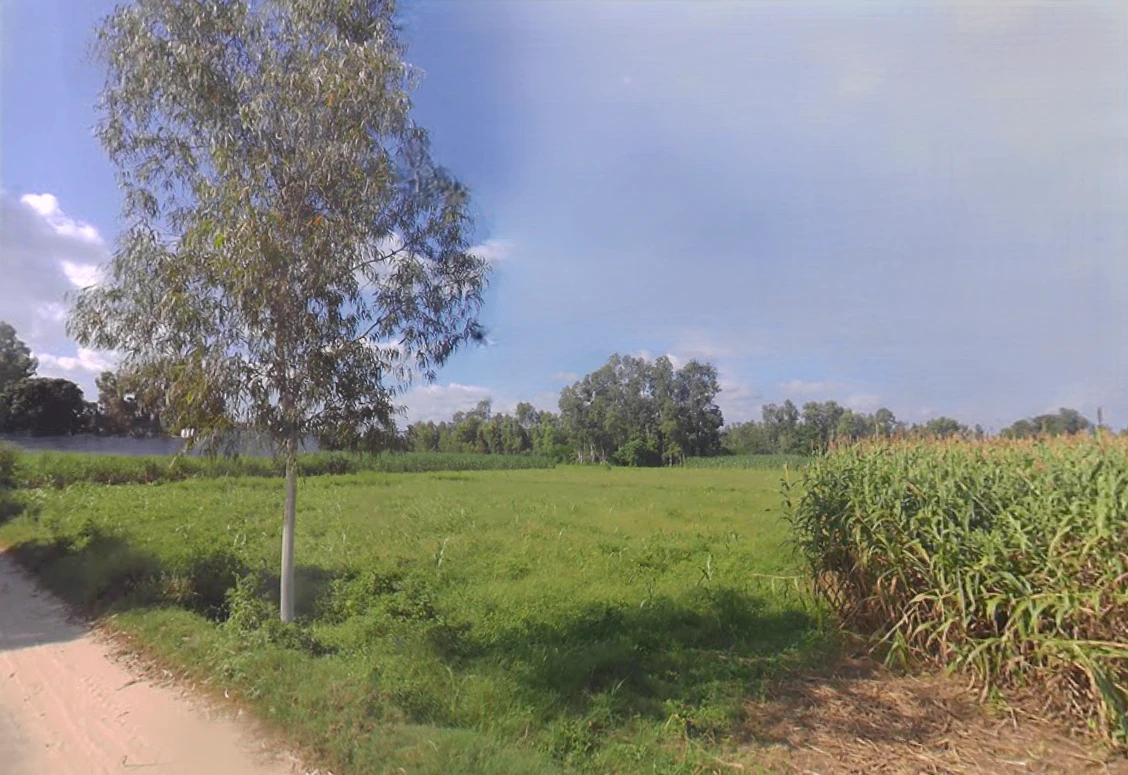 Bijopura, Uttar Pradesh 251307, India