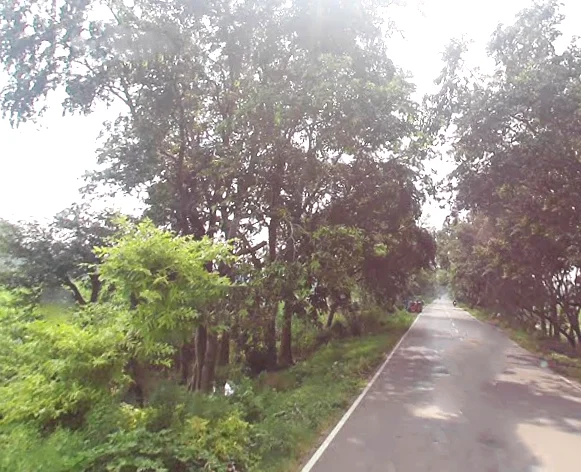 7J5M+7CW, Mirzapur Pole, Uttar Pradesh 247121, India preview 2