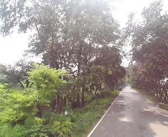 7J5M+7CW, Mirzapur Pole, Uttar Pradesh 247121, India preview 2
