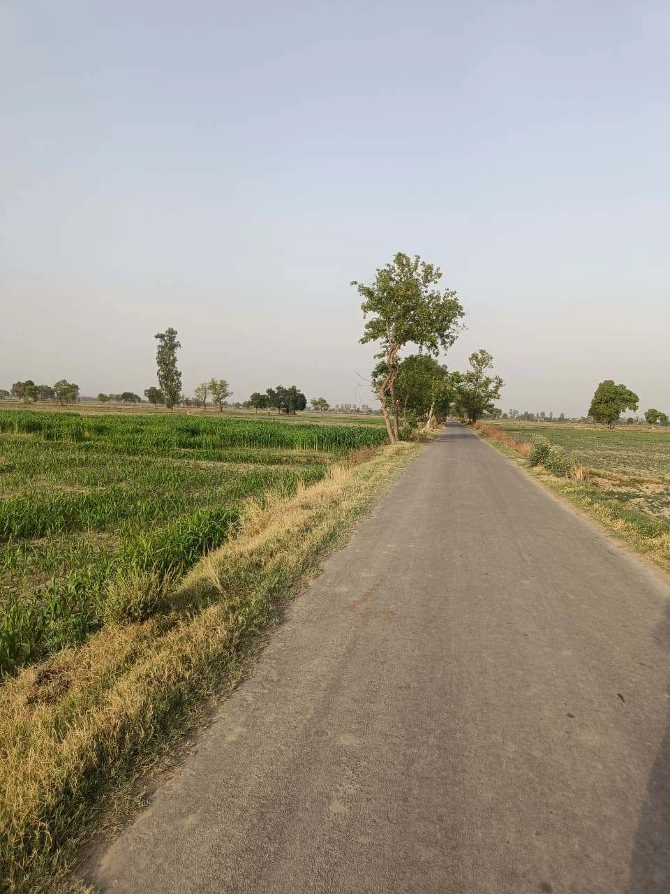 Mandha Rd, Mandha, Rajasthan, India preview 3