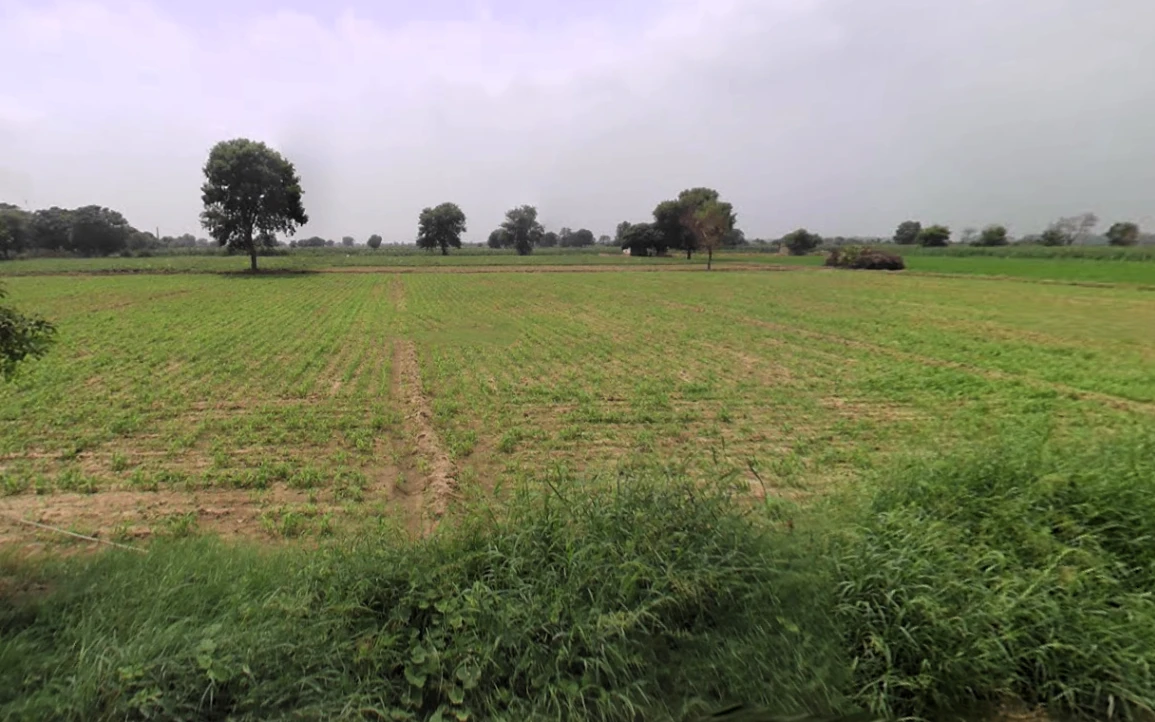 Hisar, Haryana, India