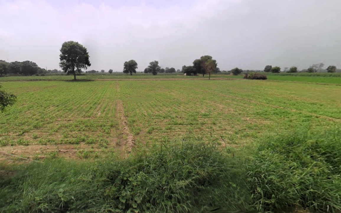 Hisar, Haryana, India