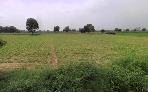 Hisar, Haryana, India preview 2