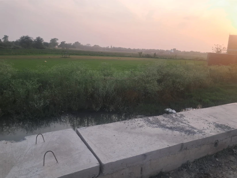 Barnagar, Madhya Pradesh 456771, India