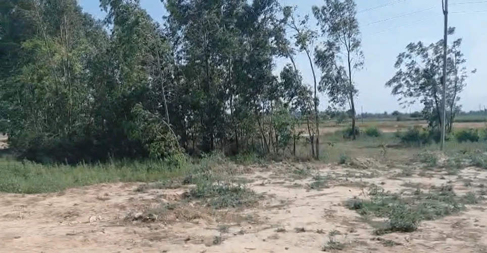 Raipur Rani, Haryana 134204, India