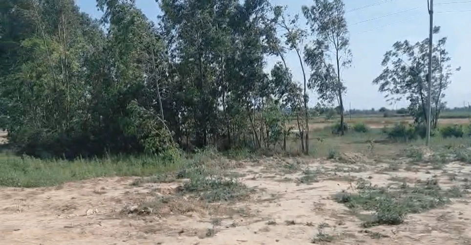 Raipur Rani, Haryana 134204, India