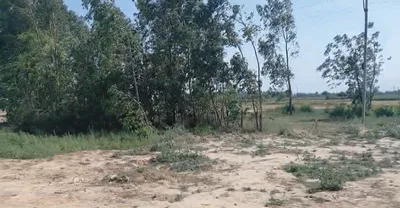 Raipur Rani, Haryana 134204, India preview 2