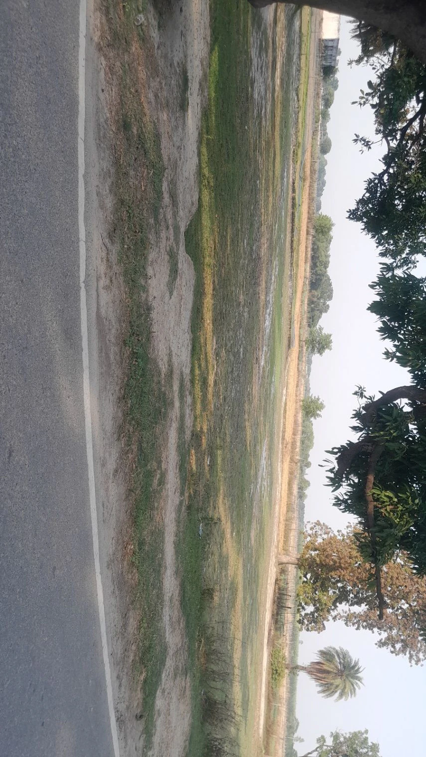 M797+J9 Durga Pur, Uttar Pradesh, India