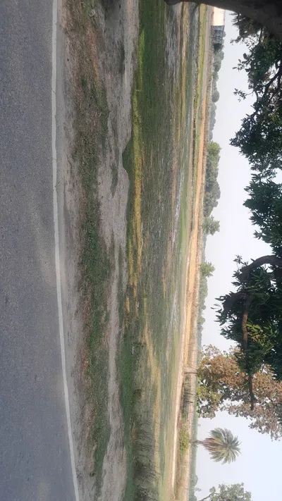 M797+J9 Durga Pur, Uttar Pradesh, India preview 2