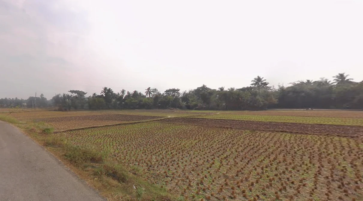 Shikarpur, West Bengal 713422, India