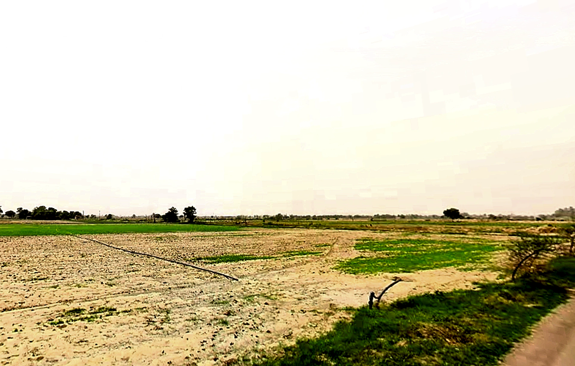 Pataudi, Haryana 122503, India