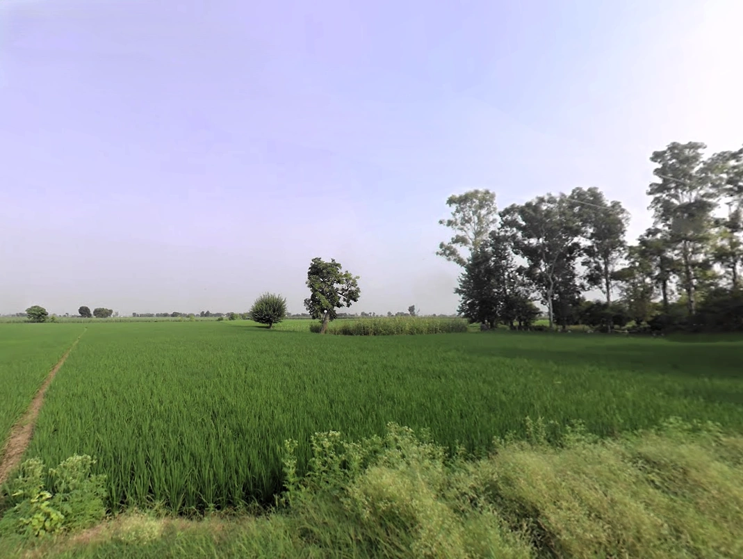 Ladwa, Haryana 136132, India