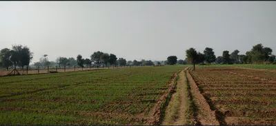 Ulanpara, West Bengal 711303, India preview 3