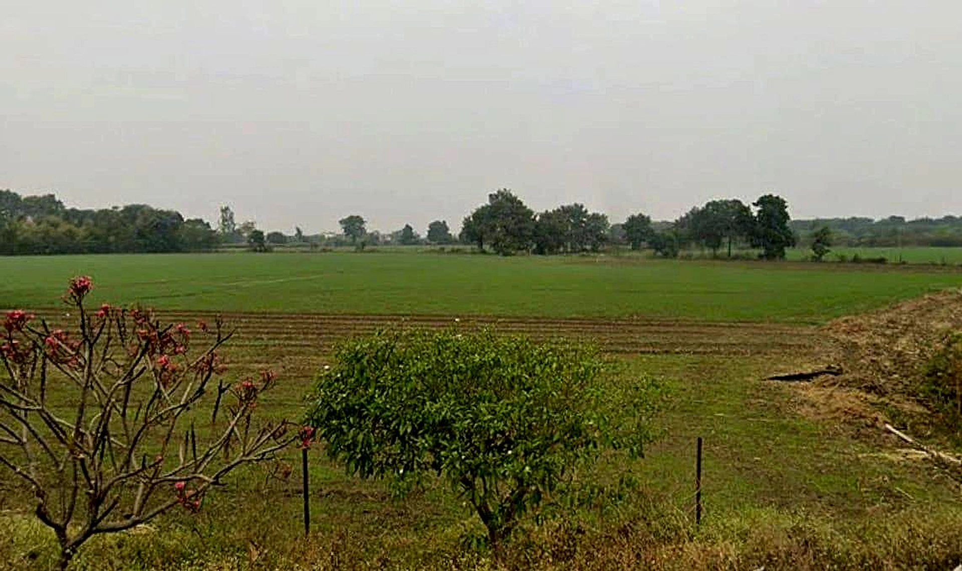 Akha Khedi, Madhya Pradesh 465441, India