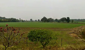 Akha Khedi, Madhya Pradesh 465441, India preview 3