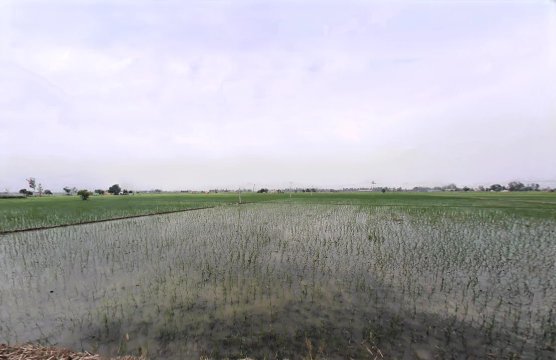 Dhurala, Haryana 136119, India preview 3