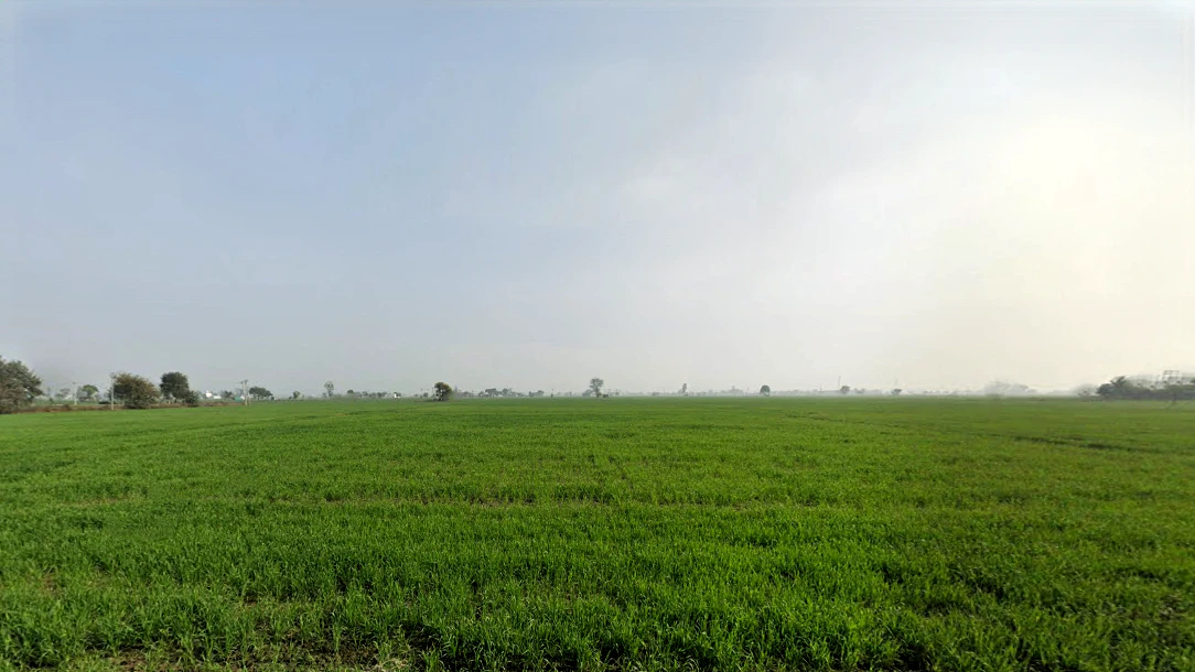 Hinga Kheri, Haryana, India