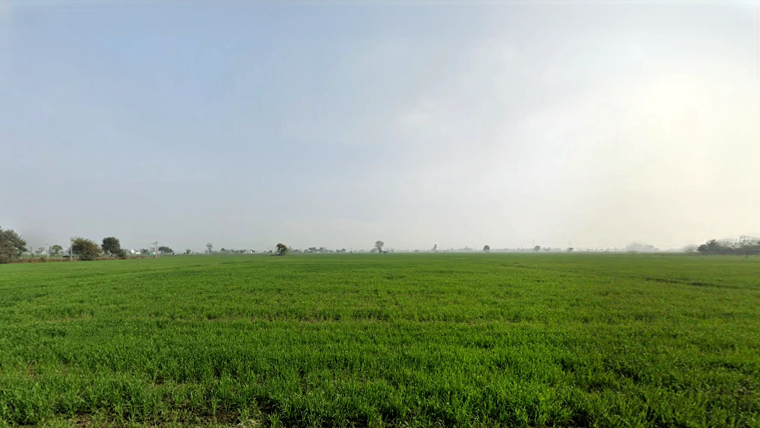 Hinga Kheri, Haryana, India