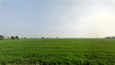 Hinga Kheri, Haryana, India preview 2