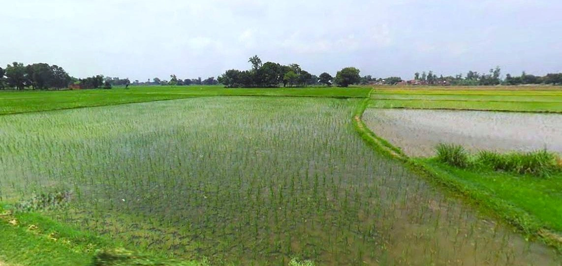 Jhargram, West Bengal, India