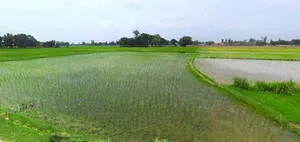 Jhargram, West Bengal, India preview 2